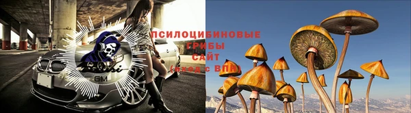 Альфа ПВП Новозыбков