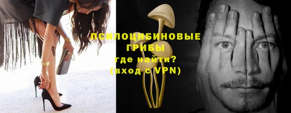спайс Новодвинск