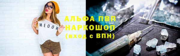 Альфа ПВП Новозыбков