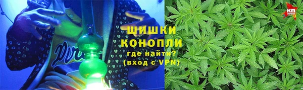 шишки Гусиноозёрск