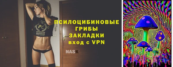 ГАЛЛЮЦИНОГЕННЫЕ ГРИБЫ Новокубанск