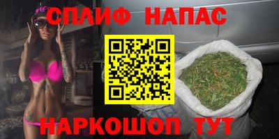 тгк Дубна